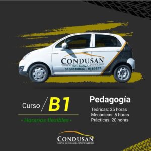 Licencia de conducción B1